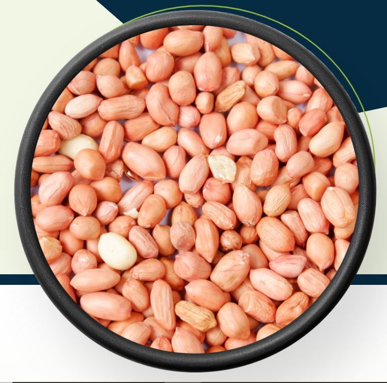 Peanut Bold, Java, Blanched & Roasted