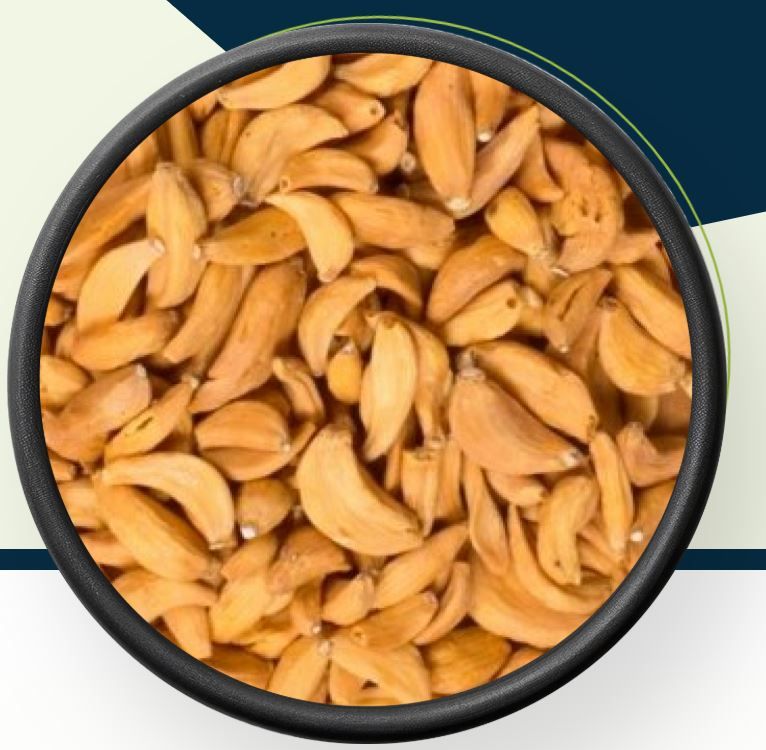 Dehydrated Garlic Flakes & Powder