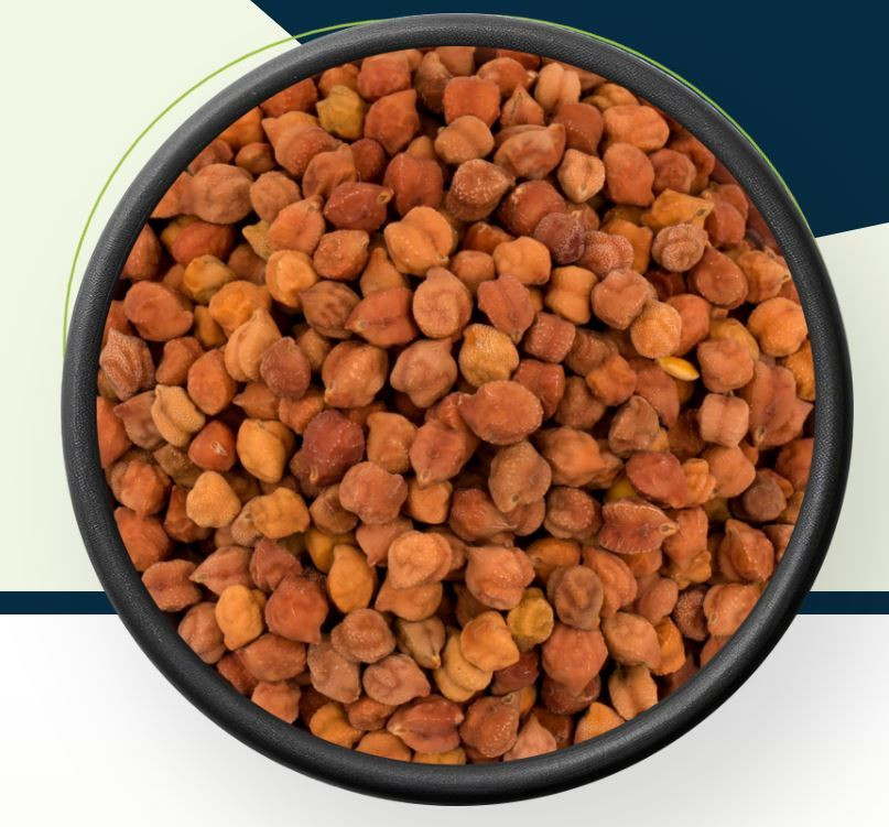 Kabuli chickpeas/ Desi Chickpeas