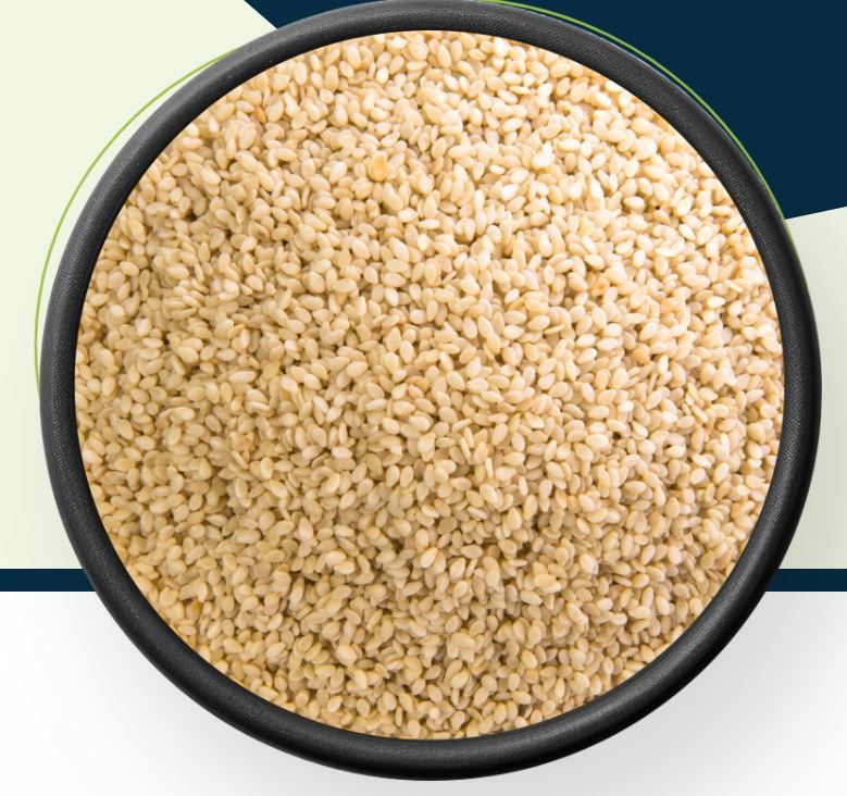 Sesame Seed White, Hulled, Black & Roasted