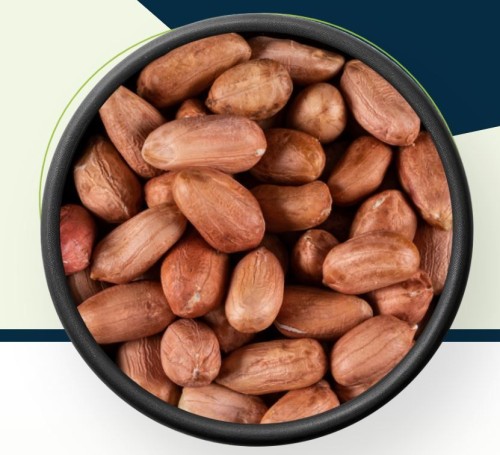 Peanut Bold, Java, Blanched & Roasted