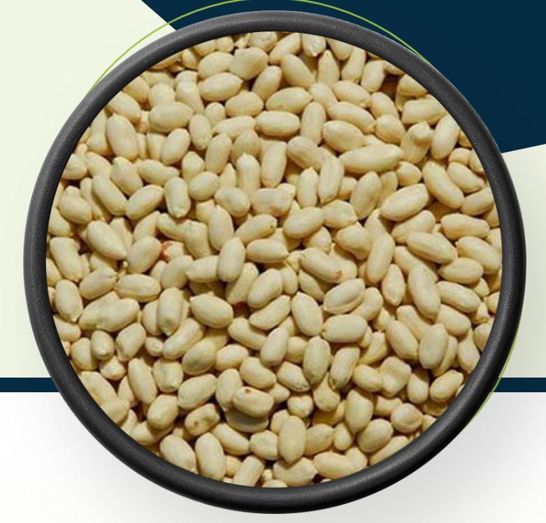 Peanut Bold, Java, Blanched & Roasted