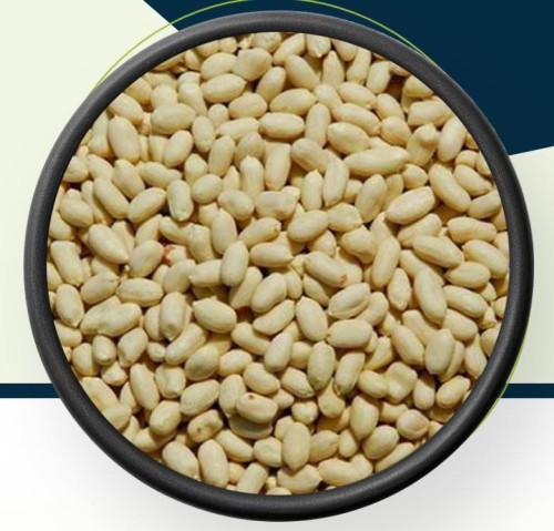 Peanut Bold, Java, Blanched & Roasted