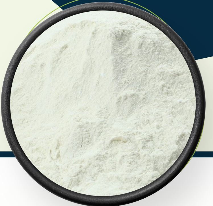 Dehydrated White/Red/Pink Onion Powder